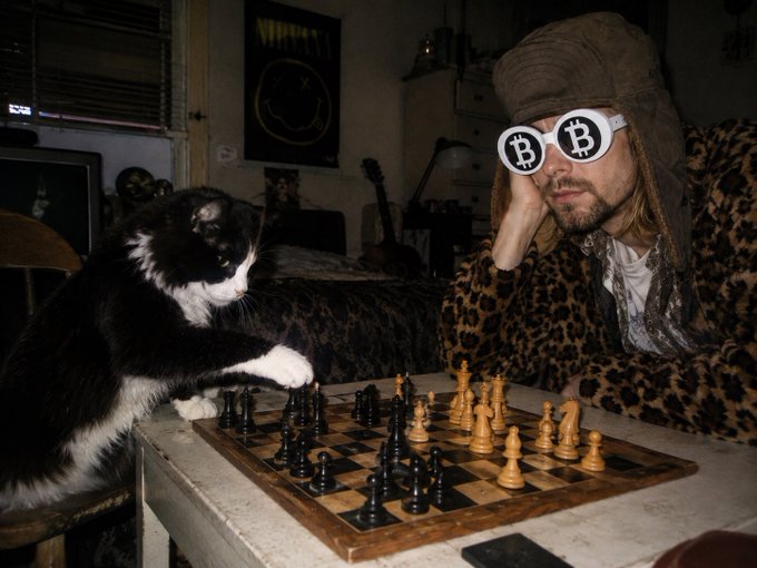 Cobie's Cat meme 1